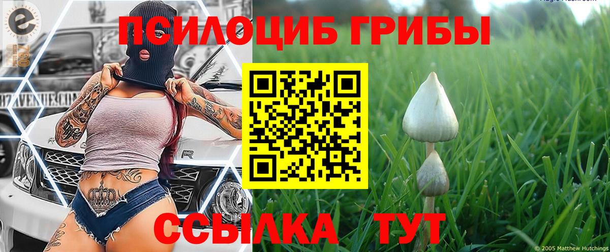 Дивногорск  Галлюциногенные грибы GOLDEN TEACHER  Галлюциногенные грибы Psilocybe  Вход с VPN 