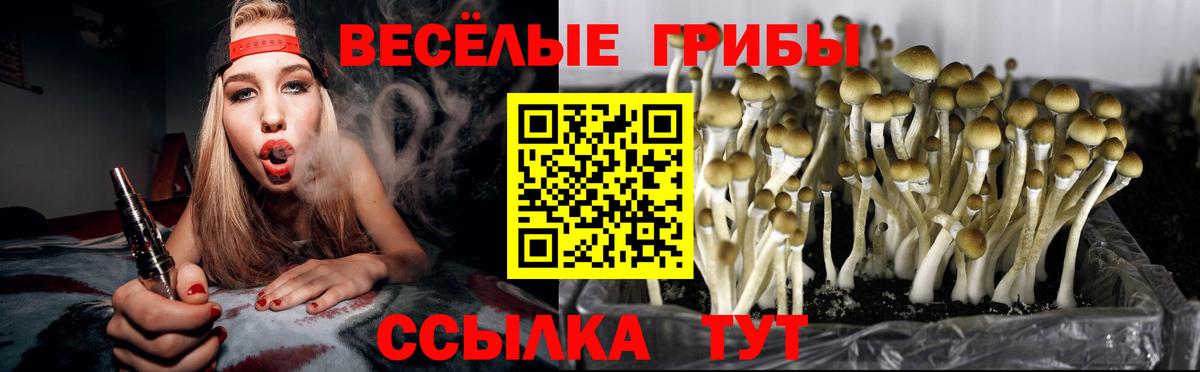 Псилоцибиновые грибы ЛСД Дивногорск