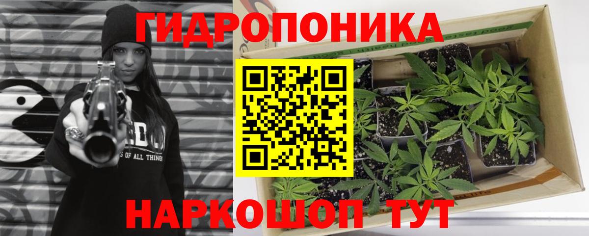 Марихуана планчик Дивногорск